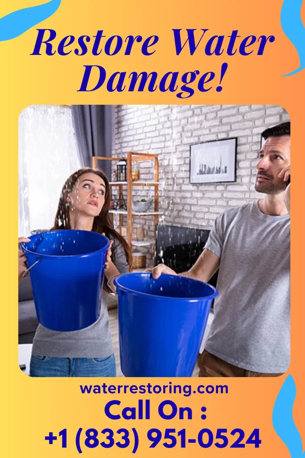 water restoration Solid Damage Restoration Co Literberry